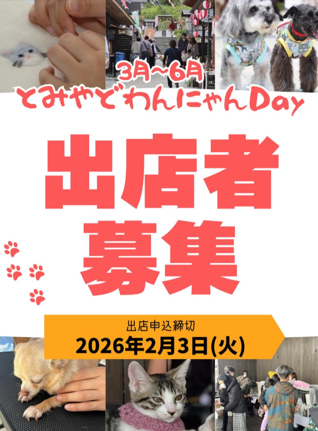 とみやどわんにゃんDay
