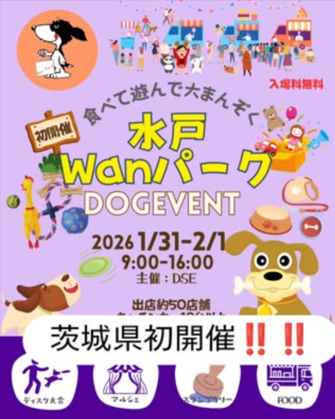 DSEseason2025-2026×水戸Wanパーク