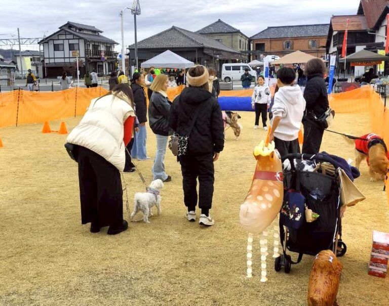 わんこフェスタin富岡 クリスマスマーケット