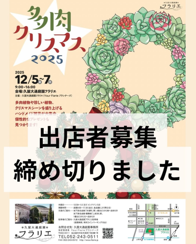 多肉クリスマス2025