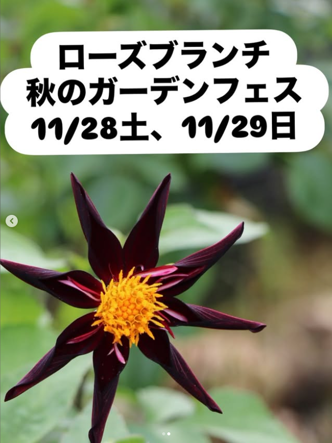ローズブランチ　秋のガーデンフェス