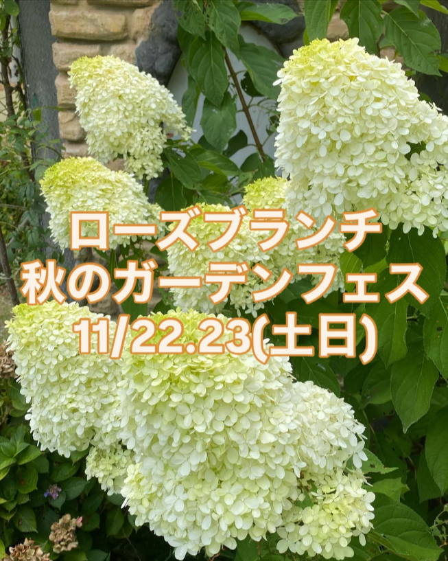 ローズブランチ　秋のガーデンフェス