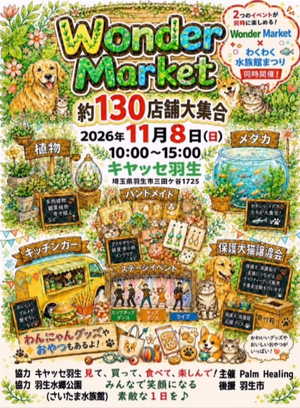 Wonder Market