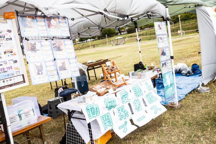 ユメカナエフェス