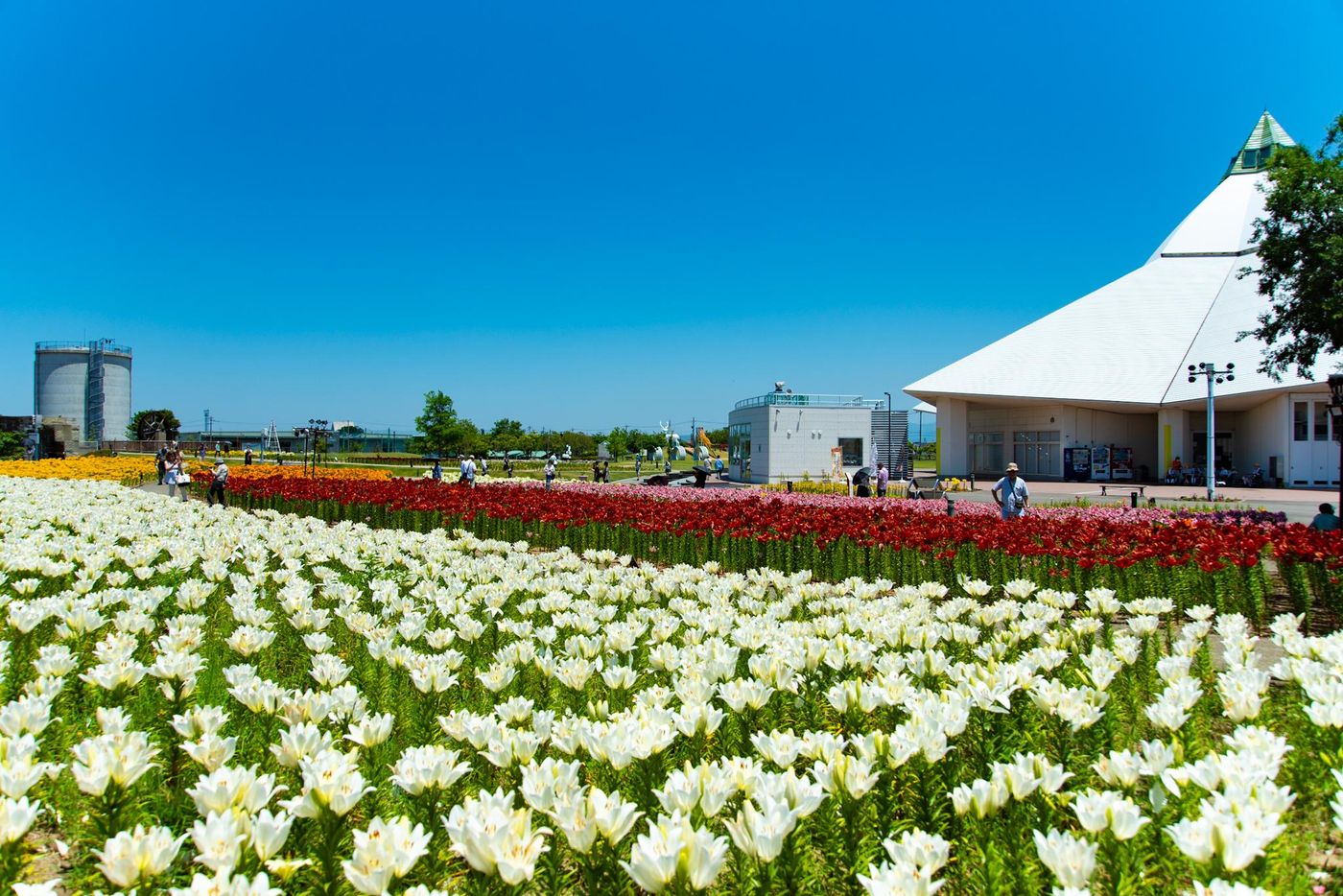 ゆりフェスタ2026