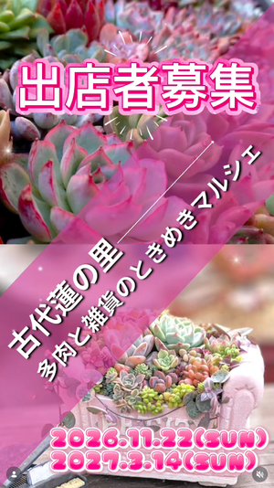 多肉と雑貨のときめきマルシェ　IN 古代蓮の里