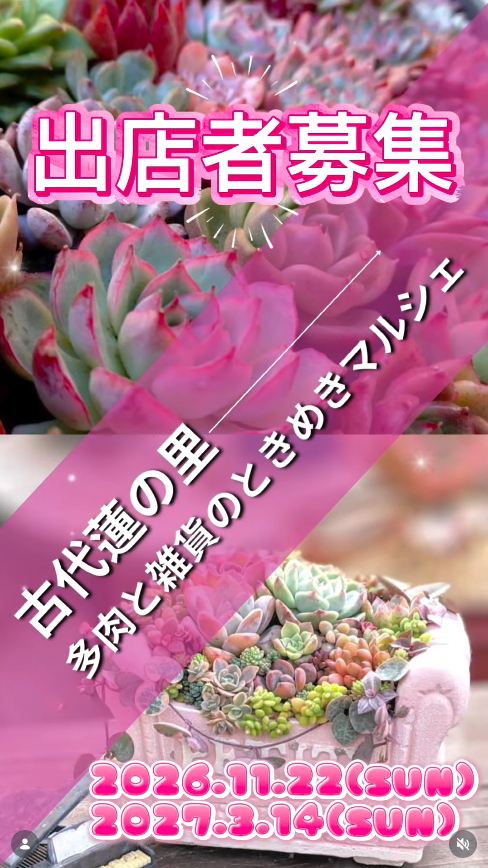 多肉と雑貨のときめきマルシェ　IN 古代蓮の里