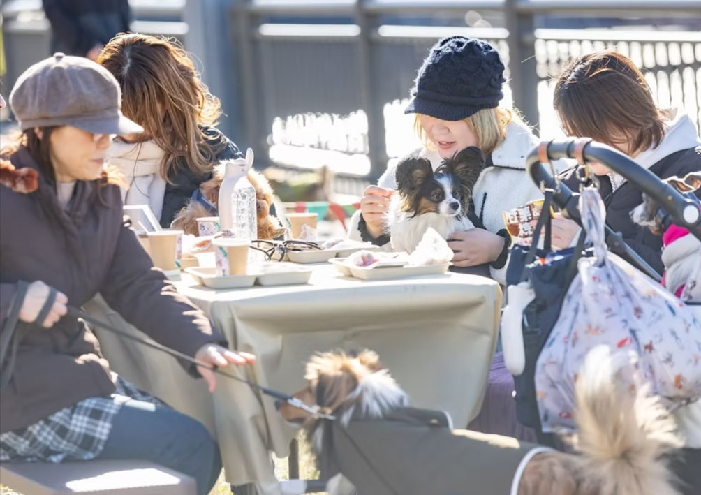 いぬcafeガーデンSPRING MARCHE