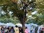 福岡アーツ＆クラフツ2026 A/W