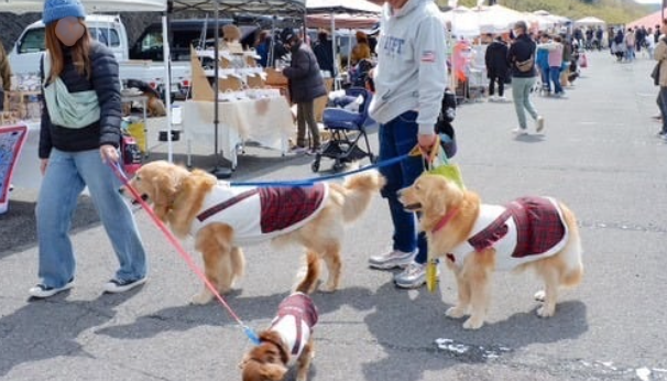 AtaWanマルシェ in 十国峠