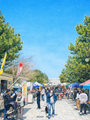 なんでもマルシェ　in きらら博記念公園