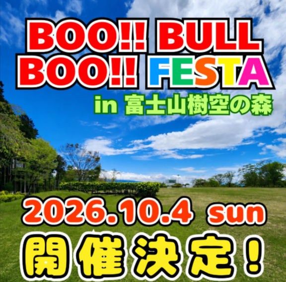 BOO!! BULL BOO!! FESTA