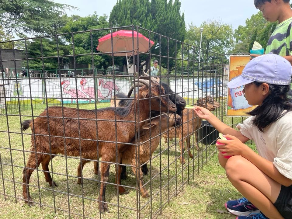第24回 ロハスパーク明石@明石公園
