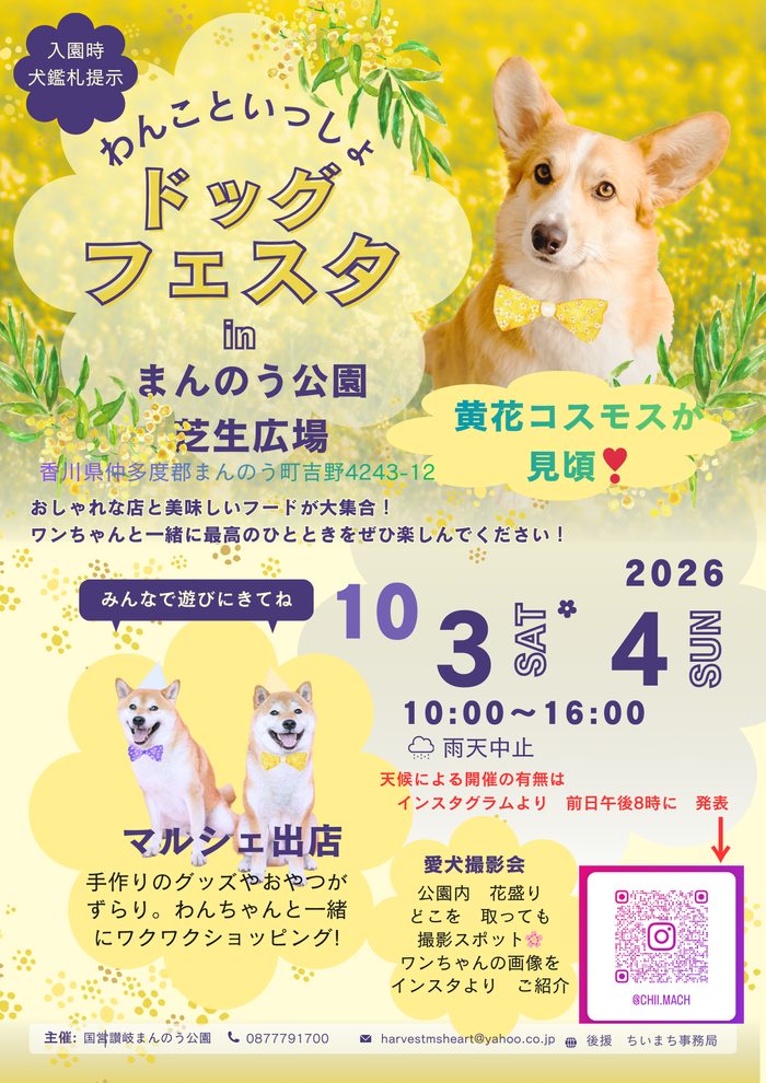 まんのう手作りフェス