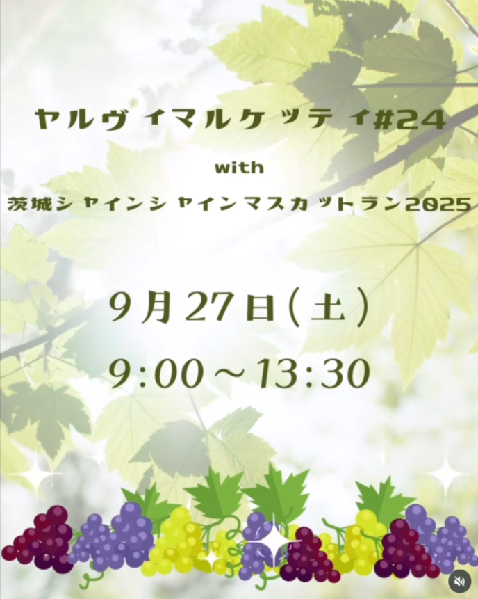 ヤルヴィマルケッティ#24
