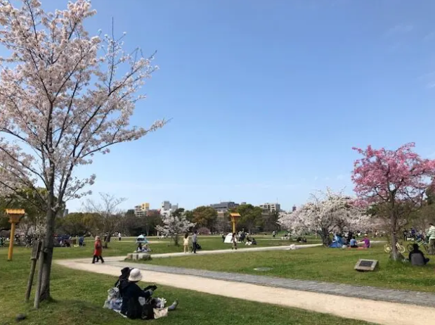 ロハスパーク福岡@舞鶴公園