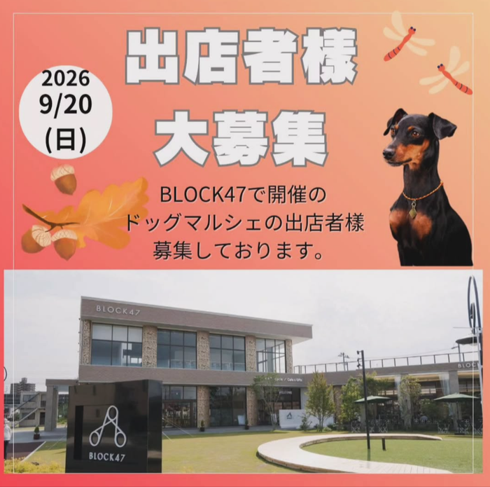 BLOCK47ドッグマルシェ