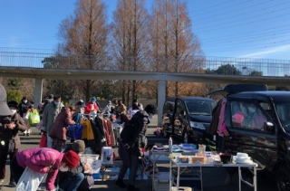 北総花の丘公園　オータムフェア