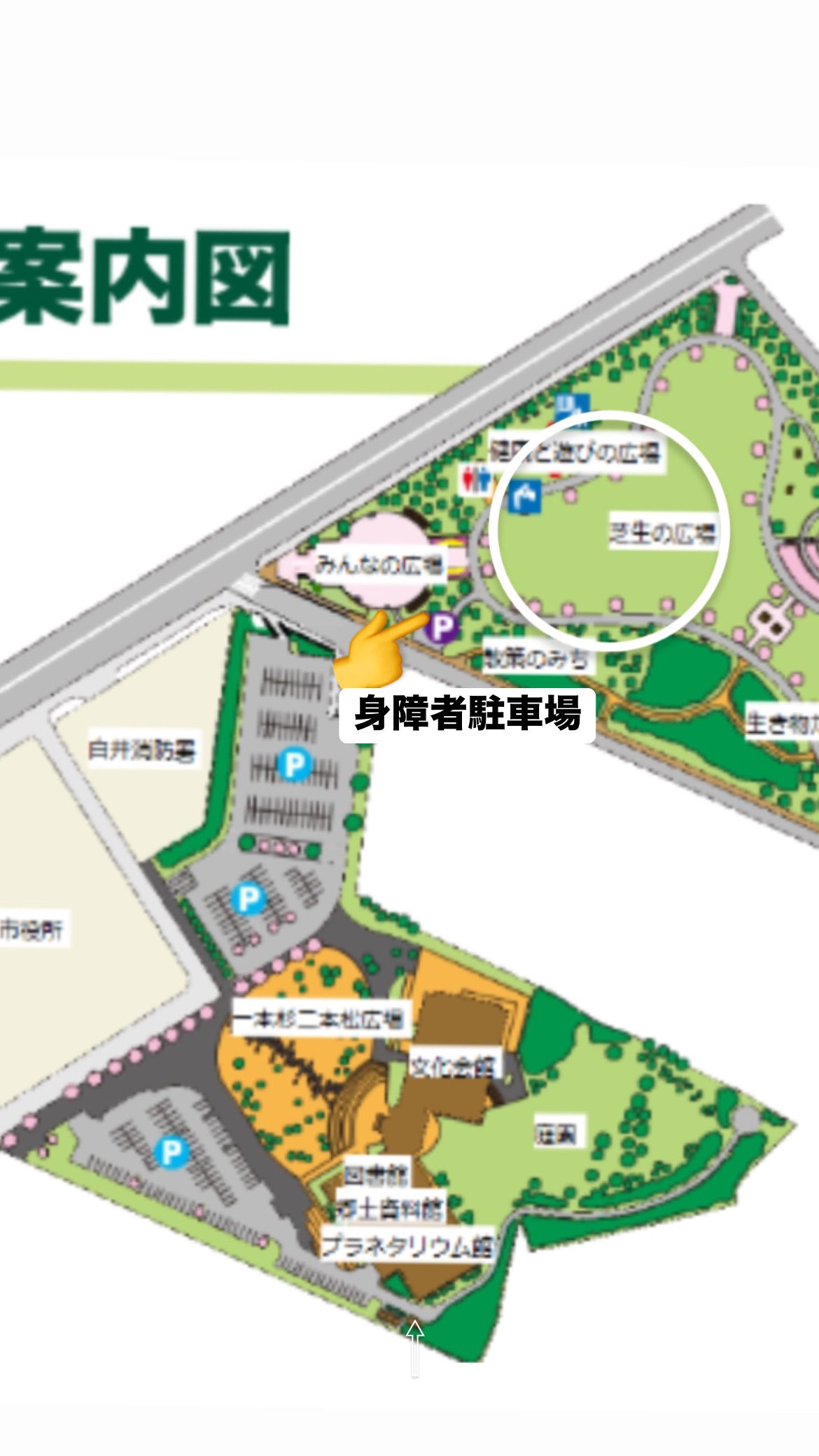 ひろばでマーケット