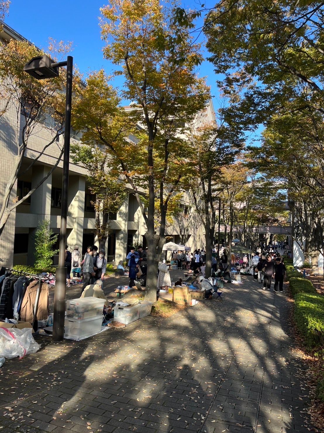 東京都立大学第21回みやこ祭フリーマーケット