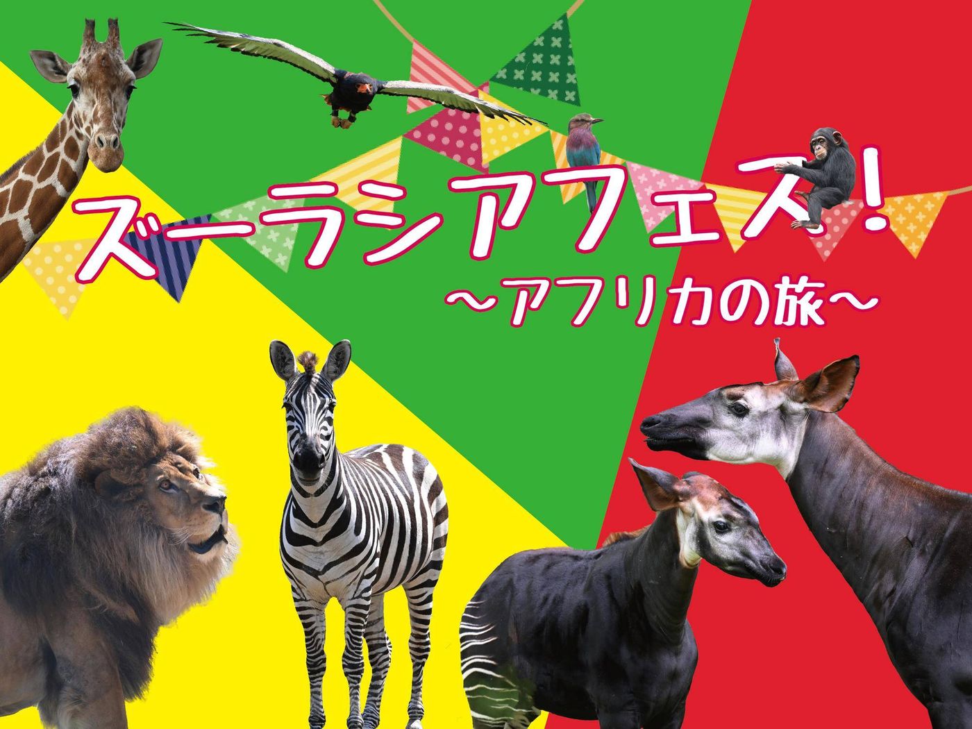 ズーラシアフェス！～アフリカの旅～