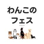 第7回わんこのフェス  ~今年こそはどんぴしゃバレンタインだし、推し活三昧な宴したい~