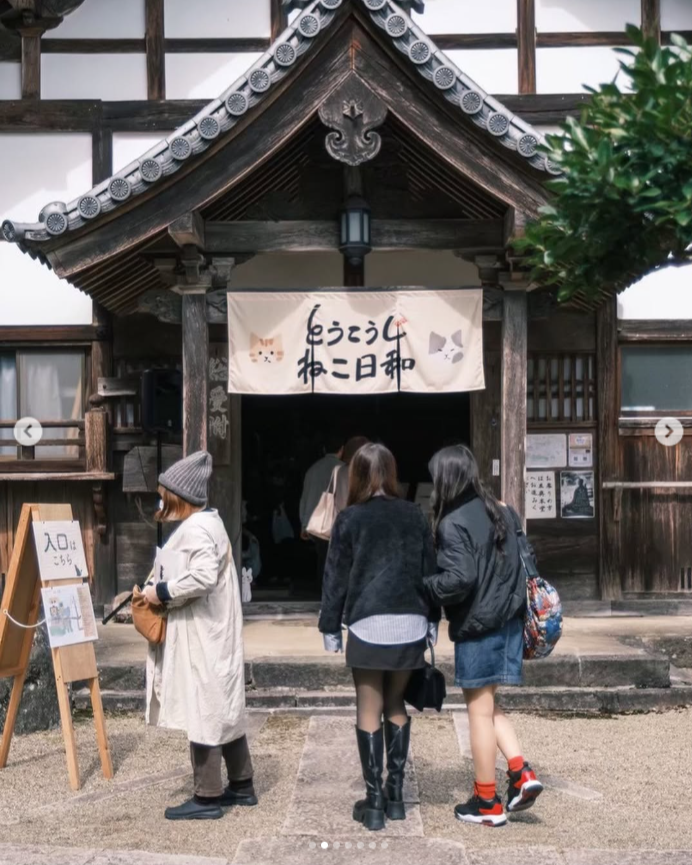 東光寺ねこ日和2027