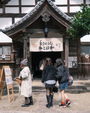 東光寺ねこ日和2027
