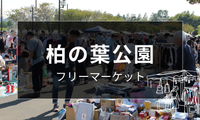 柏の葉公園フリーマーケット開催日まとめ