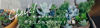 ボタニカルマーケットまとめ